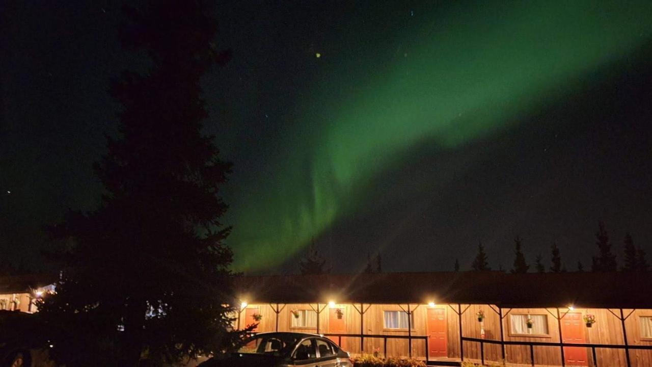 White Moose Lodge ヒーリー エクステリア 写真