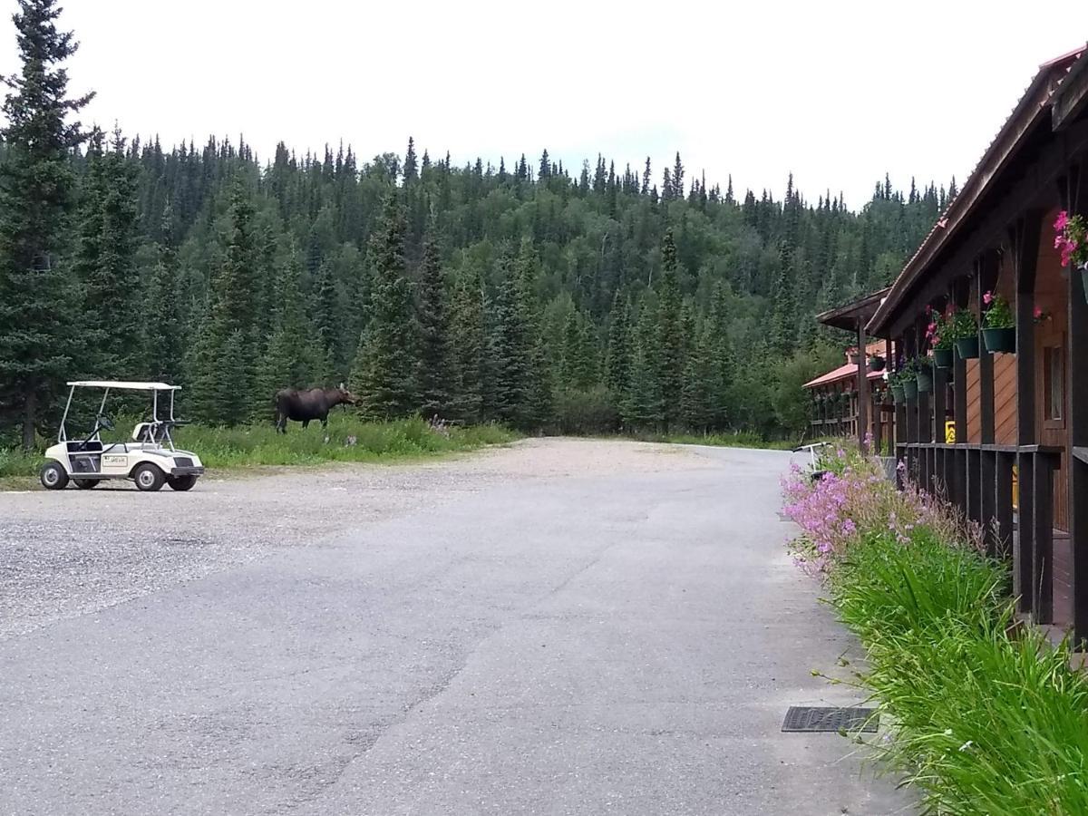 White Moose Lodge ヒーリー エクステリア 写真
